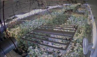 1100 Industrial Blvd, Albion, MI 49224