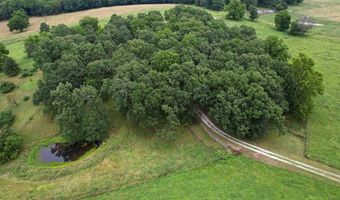 14599 W Farm Road 60, Ash Grove, MO 65604