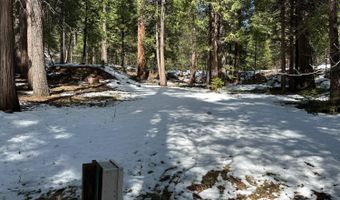 1968 Flamingo Way, Arnold, CA 95223