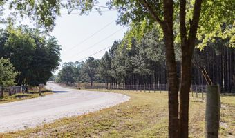 NW 41st Cir, Bell, FL 32619