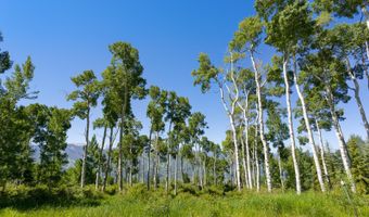 114 Goldenrod, Avon, CO 81620