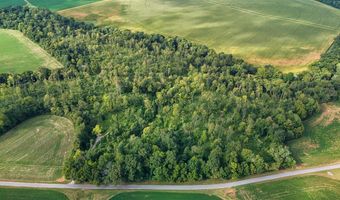 13 93 Acres Conn Rd, Adairville, KY 42206