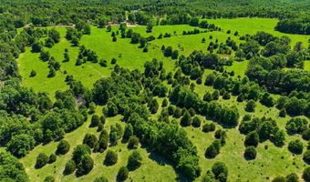210 County Road 320, Alton, MO 65606