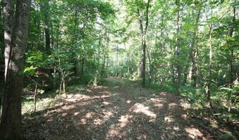 TBA BETTYS BRANCH RD X, Arvonia, VA 23004