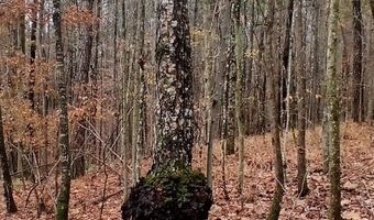 0 VENABLE Rd, Argo, AL 35173