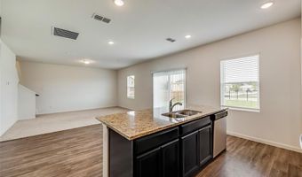 713 Peach Tree Ln, Anna, TX 75409