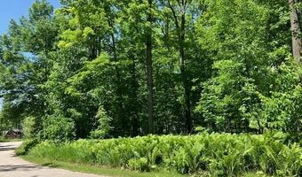TBD MAPLE ISLE COURT UNIT 32, Alanson, MI 49706