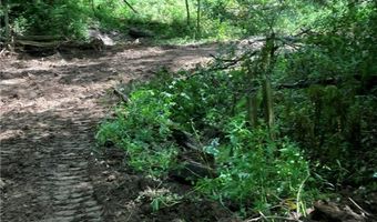 N3953-89 Bear Pen Road, Arkansaw, WI 54721