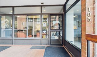 533 E Hopkins Ave 103, Aspen, CO 81611