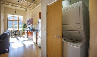 231 Robinson Street 330, Basalt, CO 81621