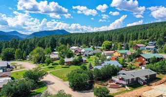 345 Meadowbrook Dr, Bayfield, CO 81122