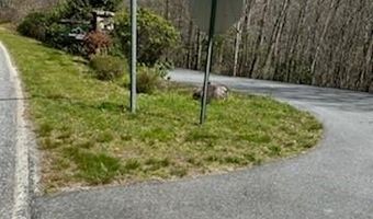 25 Sweetwater Ridge Rd, Balsam Grove, NC 28708