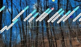 Wakeman Way, Banner Elk, NC 28604