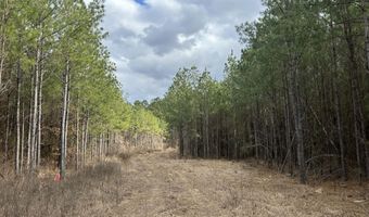 St. Johns Road, Braxton, MS 39044