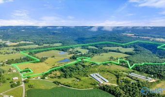 191 County Road 368, Albertville, AL 35951