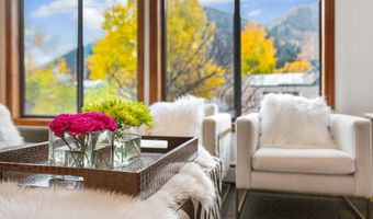 725 E Main St 309, Aspen, CO 81611