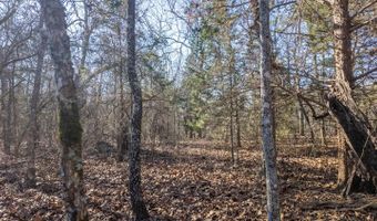 Tuska Drive, Ash Flat, AR 72513
