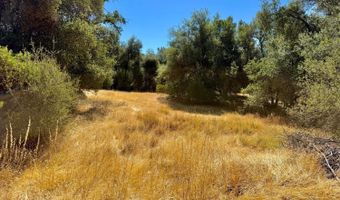 41902 Woodward Way, Ahwahnee, CA 93601