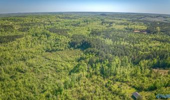 87 Acres Kay Hollis Rd, Beaverton, AL 35544