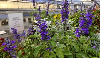 22085 580th Ave, Ames, IA 50010