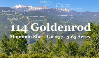 114 Goldenrod, Avon, CO 81620