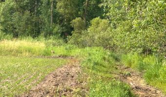 Dumke Lane, Abrams, WI 54101