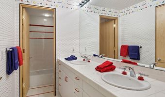 530 W Francis St, Aspen, CO 81611