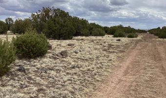 207 ACR 8056 Rd 218, Concho, AZ 85924