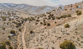 Hamilton Creek Trail, Elko, NV 89801