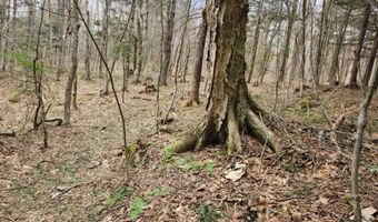 0 Clarks/Woodland Trl 409-4, Alexandria, NH 03220