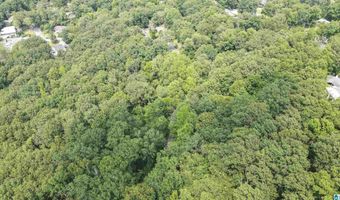 0 LANIER Pl 26.25 ac, Anniston, AL 36207