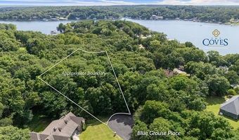 Blue Grouse Place, Afton, OK 74331
