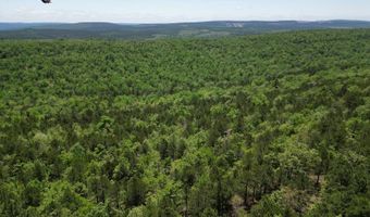 TRACT 40 TRAIL RIDGE ROAD, Albion, OK 74571