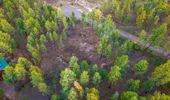 7 Eric Ln, Alpine, AZ 85920