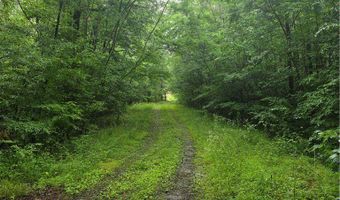 Jim Allred Road, Bankston, AL 35542