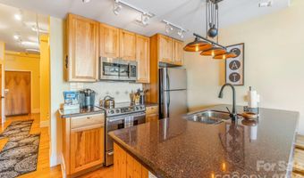35 Patton Ave 302, Asheville, NC 28801