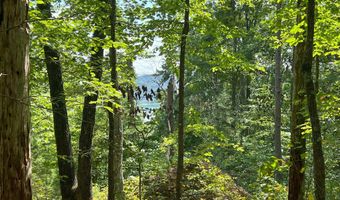 Bayside Boulevard lot 14, Bean Station, TN 37708