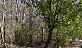 Lot 6 Bear Creek Road SE, Fort Payne, AL 35967