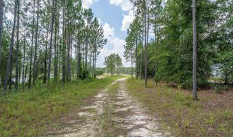 0 Piney Blf, Baxley, GA 31513