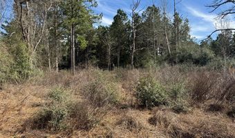 TR 3A FM 752, Alto, TX 75925