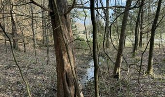 5 Acres Hwy 415, Albany, KY 42602