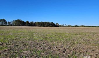 0 Three Mile Rd, Atmore, AL 36502