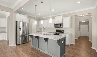 564 Chessie Sta, Apex, NC 27502