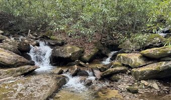 62 Acres Buckeye Ridge Rd, Beech Mountain, NC 28604