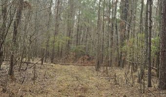 0 HWY 220, Lincolnton, GA 30817