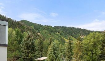 940 Waters Ave 209, Aspen, CO 81611