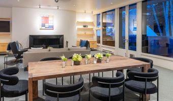 506 W Hallam St, Aspen, CO 81611