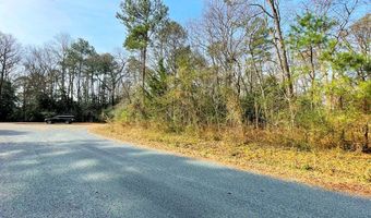 SANDPIPER LANE lot 23, Atlantic, VA 23303