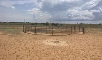 16903 N County Rd 2000, Abernathy, TX 79311