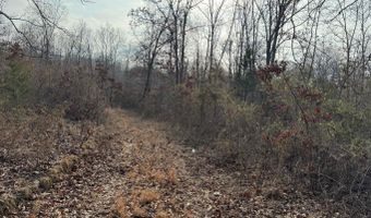 Arnhart Street, Ash Flat, AR 72513